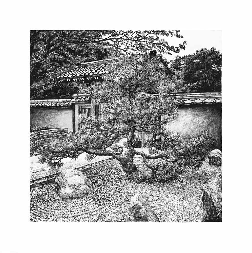 Milvi Gill, “Pinus ponderosa” (Ponderosa pine), Sofu-en Japanese Garden, pen & ink and clayboard, 2019. Milvi Gill, “Pinus ponderosa” (Ponderosa pine), Sofu-en Japanese Garden, pen & ink and clayboard, 2019.