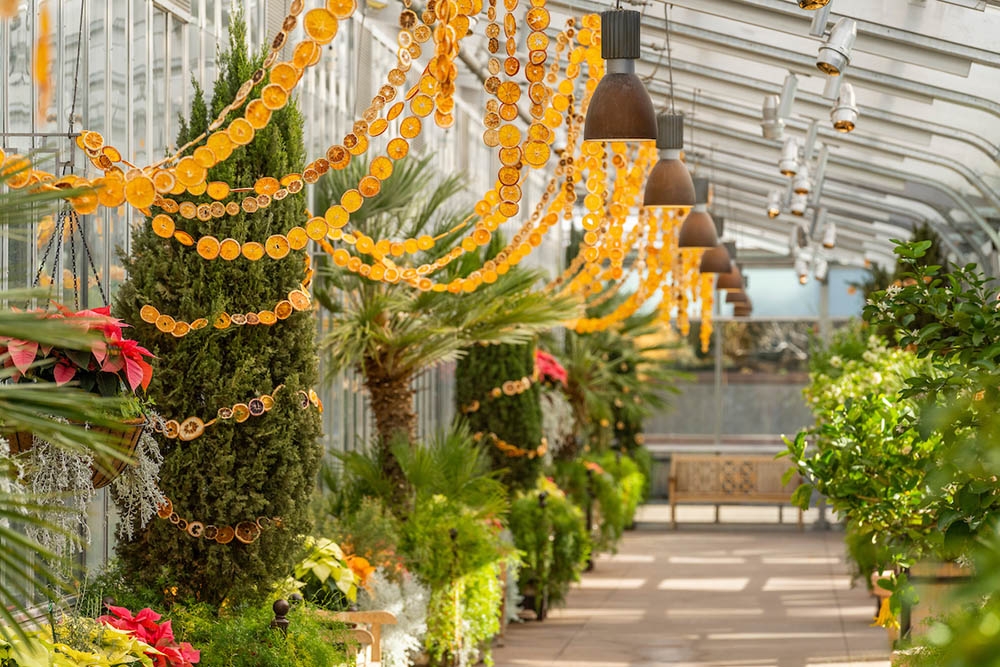 Orangery in winter