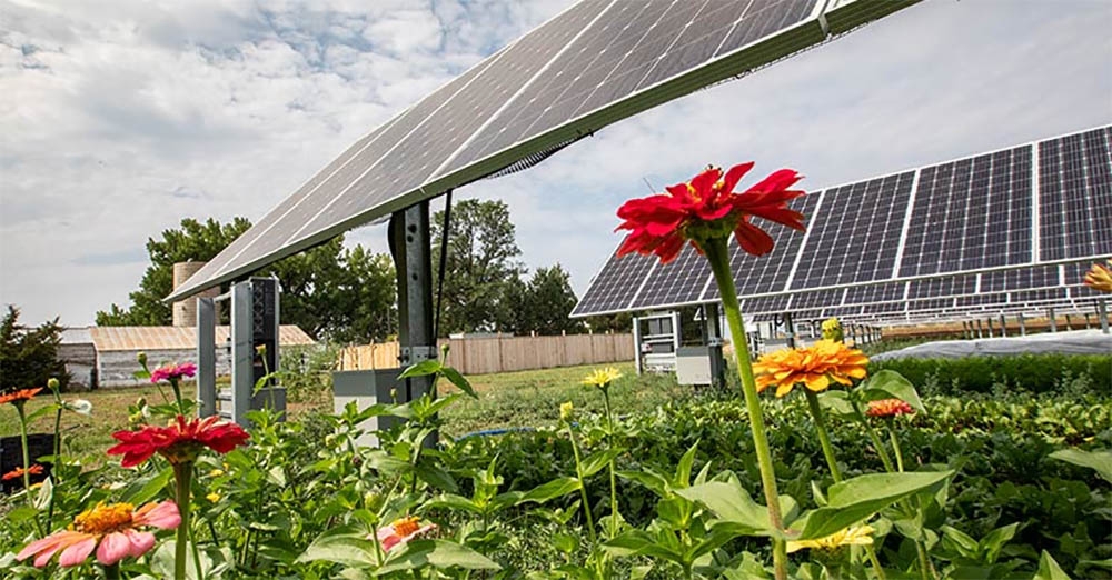 solar array