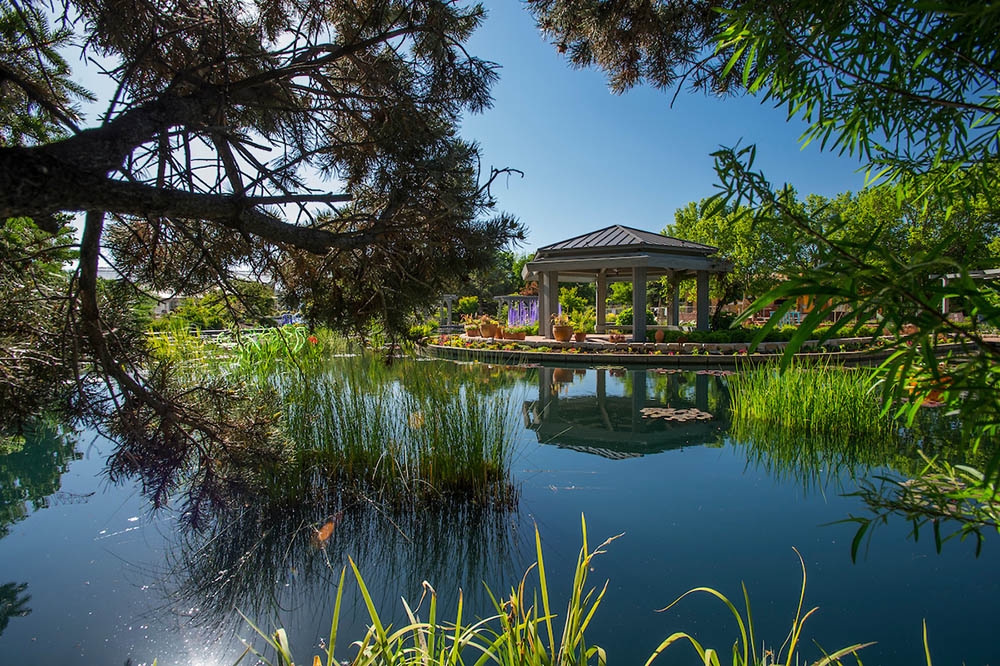water garden gazebo