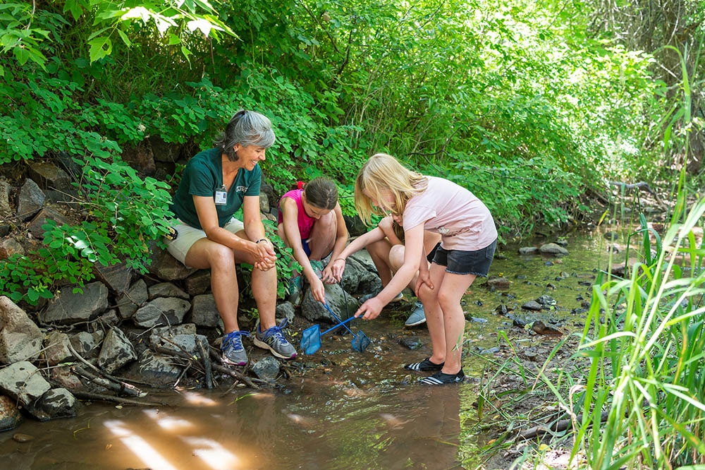 Kids in a creek