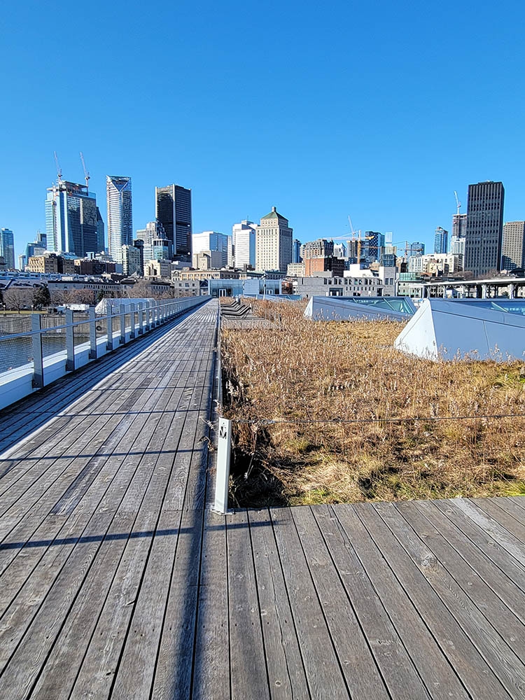 View of Montreal