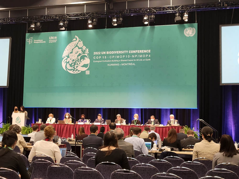 Plenary session