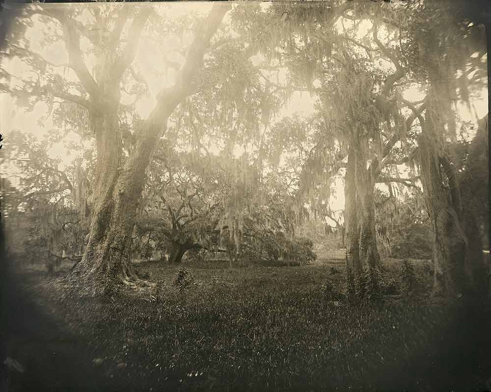 Yojiro Imasaka, “Wet-Land #71,” toned gelatin silver print, 2021.
