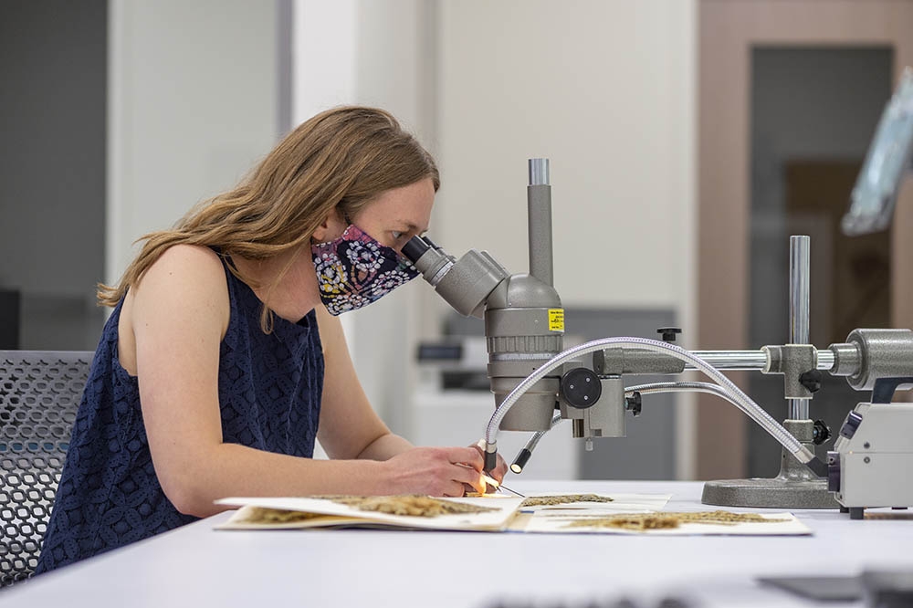 examining specimens