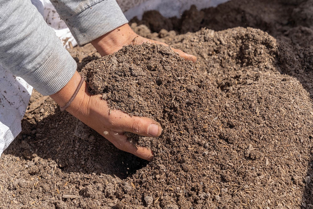 soil