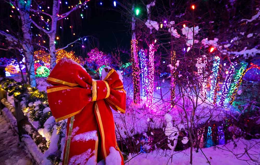 Blossoms of Light Blossoms of Light