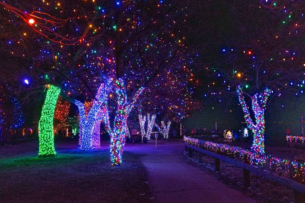 Trail of Lights at Chatfield Farms Trail of Lights at Chatfield Farms