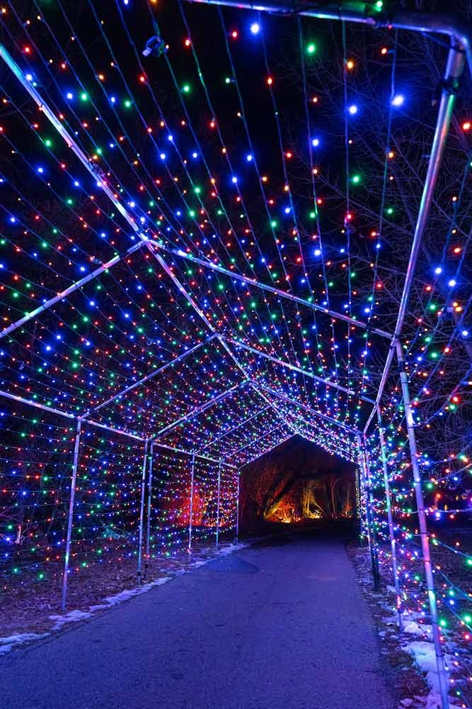 Lighted tunnel at Trail of Lights at Chatfield Farms Multi-color lighted tunnel at Trail of Lights at Chatfield Farms