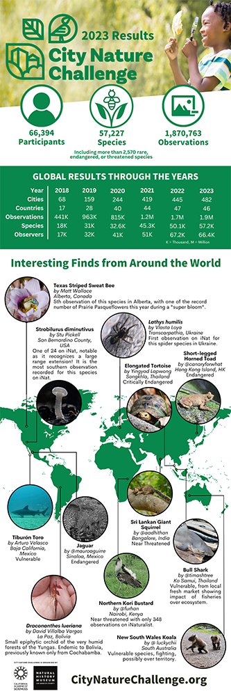 City Nature Challenge 2023 results