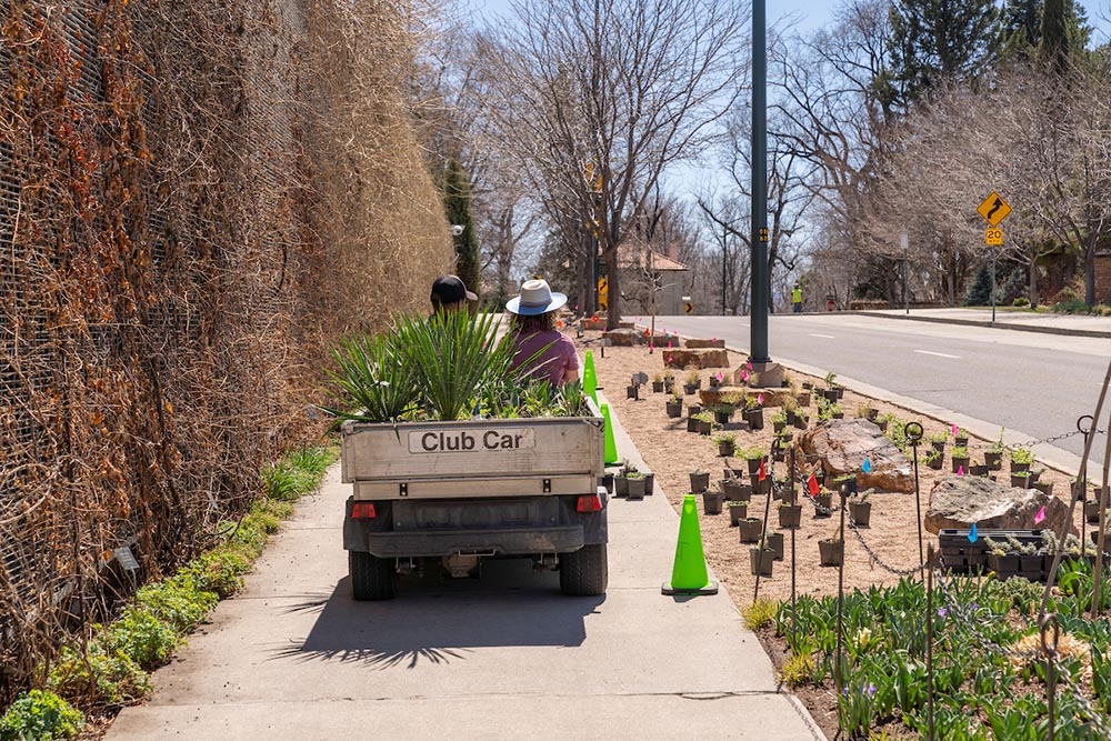 carting plants