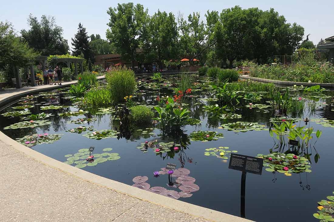 Monet Pool Monet Pool