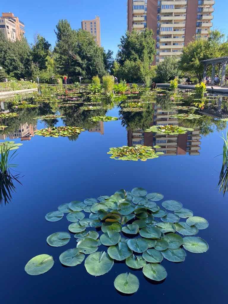 Monet Pool Monet Pool