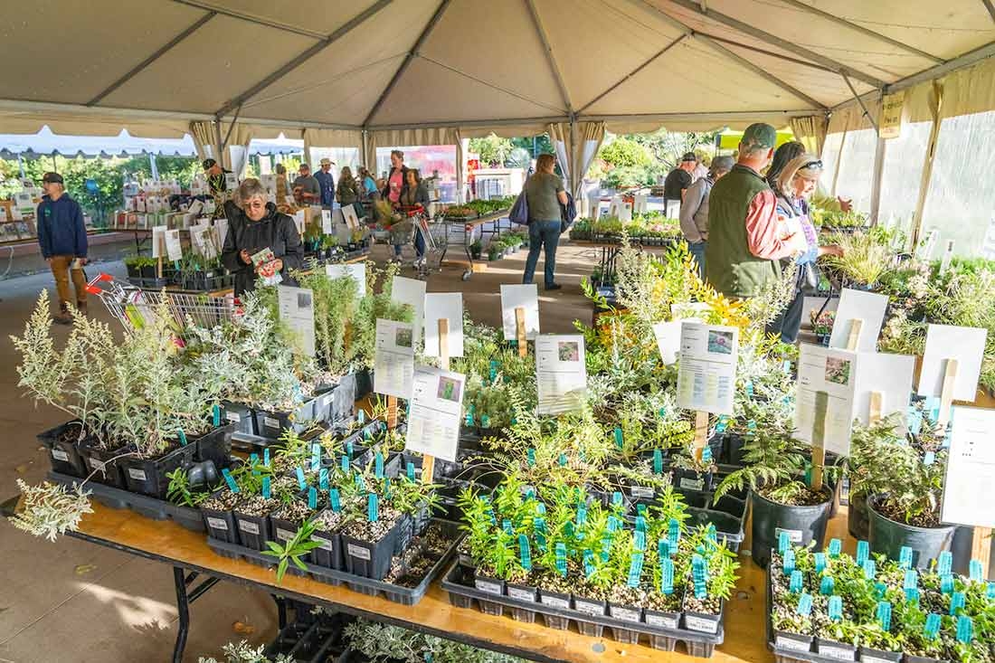 Fall Plant & Bulb Sale Fall Plant & Bulb Sale
