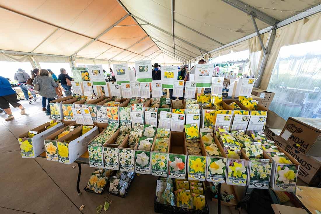 Fall Plant & Bulb Sale Fall Plant & Bulb Sale