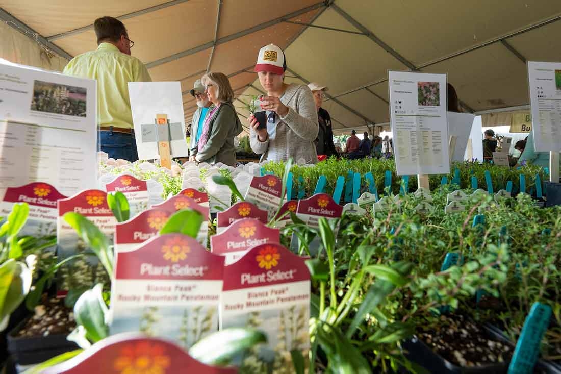 Fall Plant & Bulb Sale Fall Plant & Bulb Sale