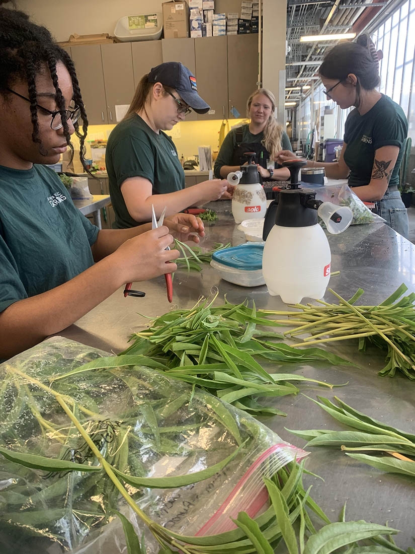 Plant cuttings and propagation workshop with Brooke Palmer. propagation workshop