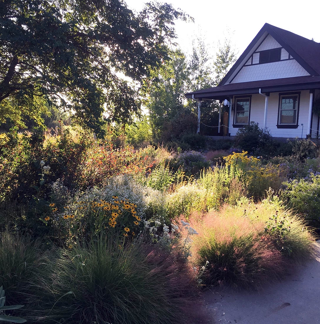 moist meadow and Sinnamon Center