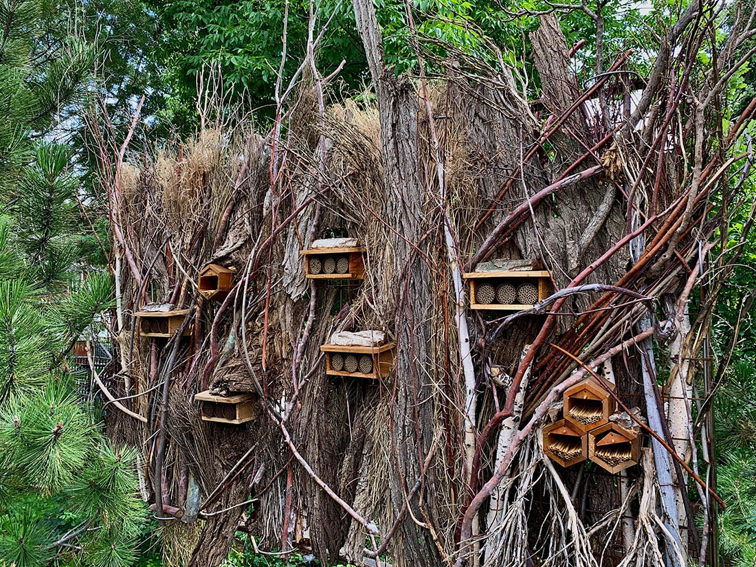 traditional insect hotels in a dead wall