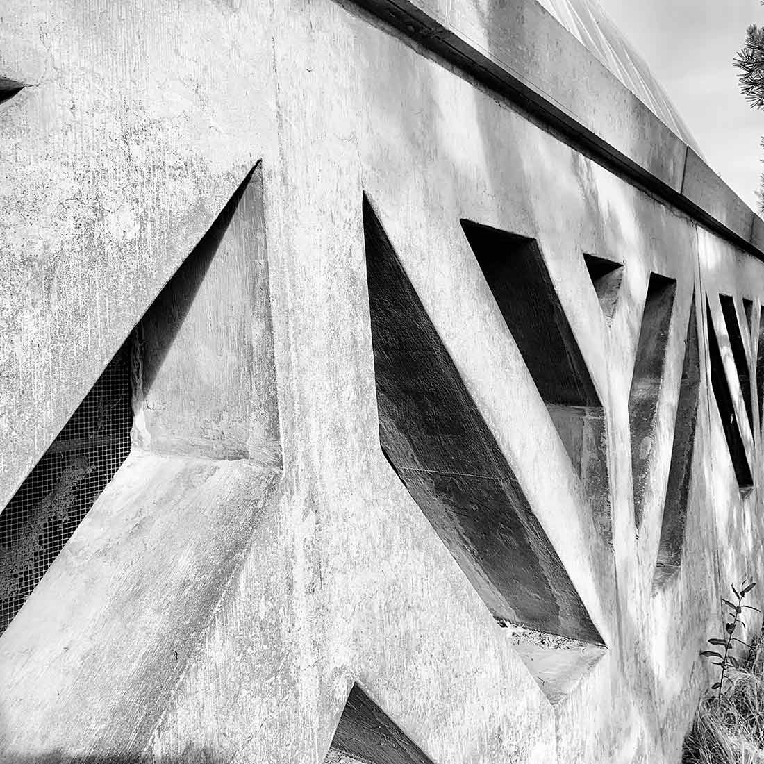 A stemmed floral pattern repeated throughout the complex A stemmed floral pattern repeated throughout the complex