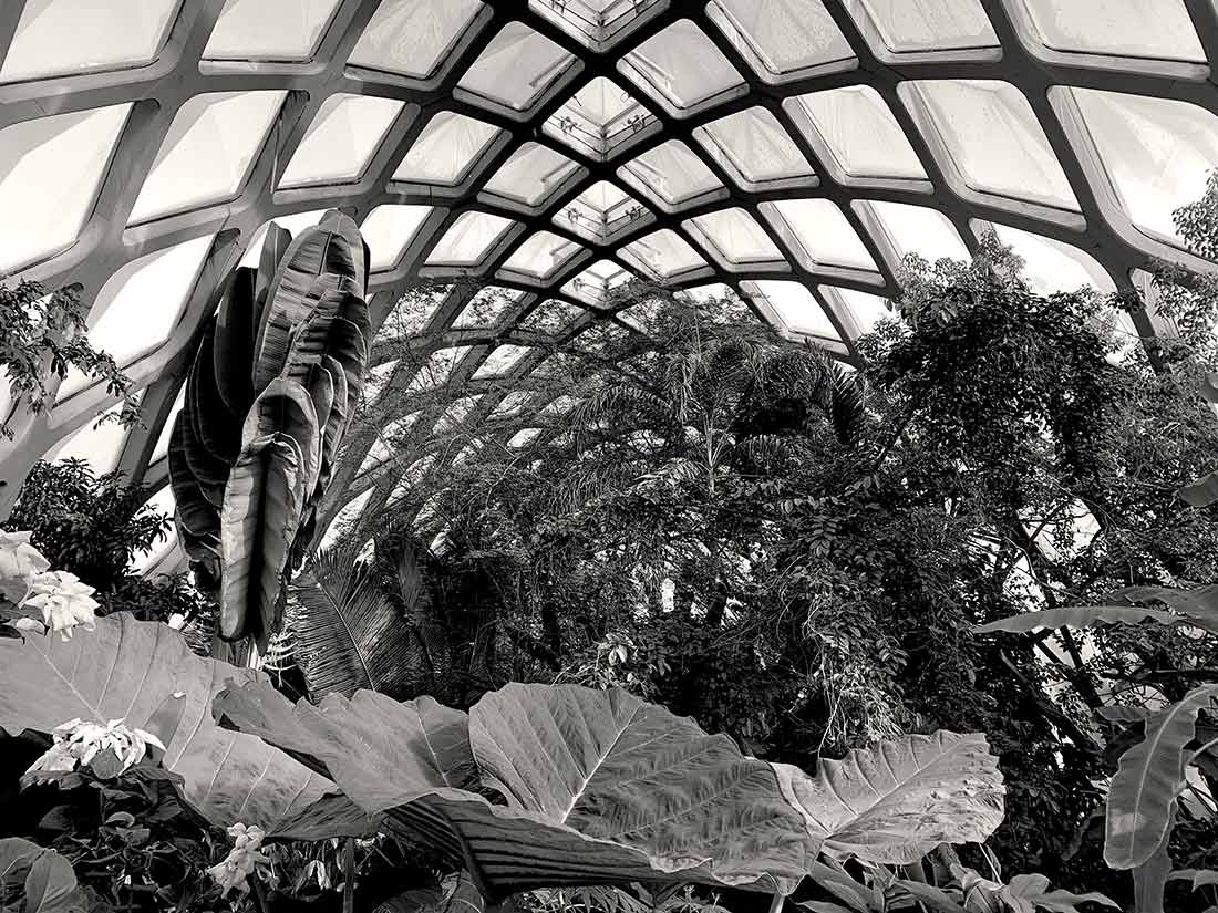 The Boettcher Memorial Tropical Conservatory Inside The Boettcher Memorial Tropical Conservatory