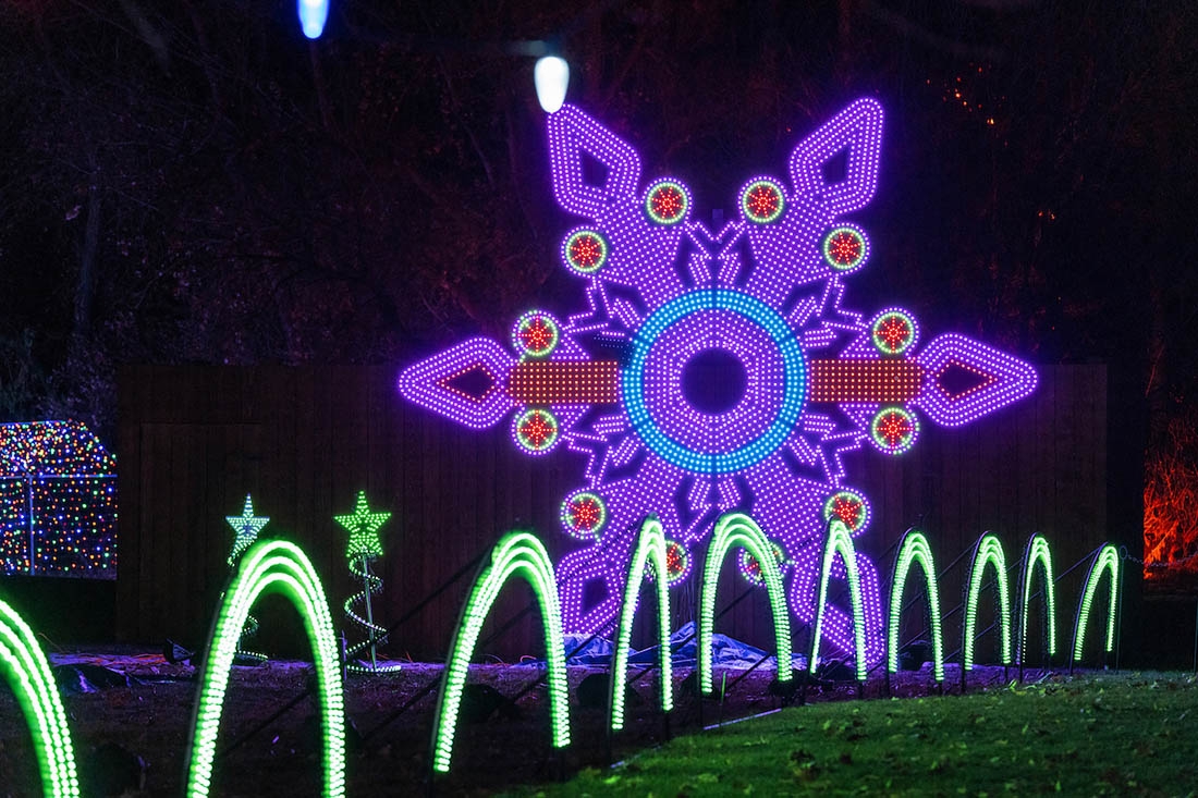 Purple snowflake