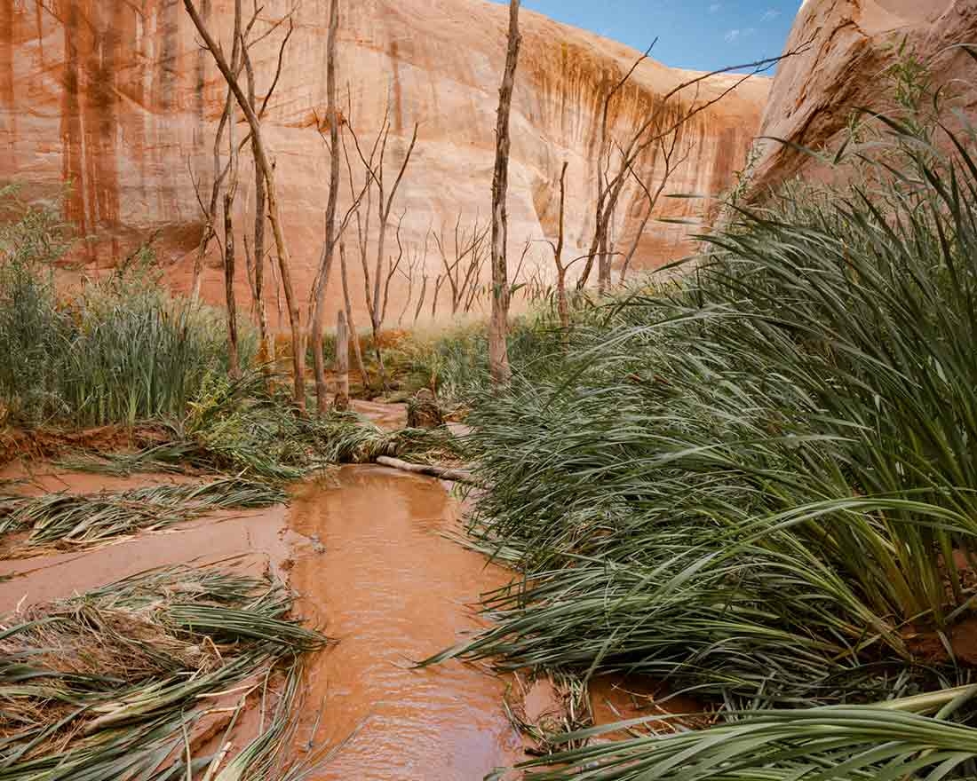 Elliot Ross, "Geography of Hope no. 1," film, 2022. Elliot Ross, "Geography of Hope no. 1," film, 2022.
