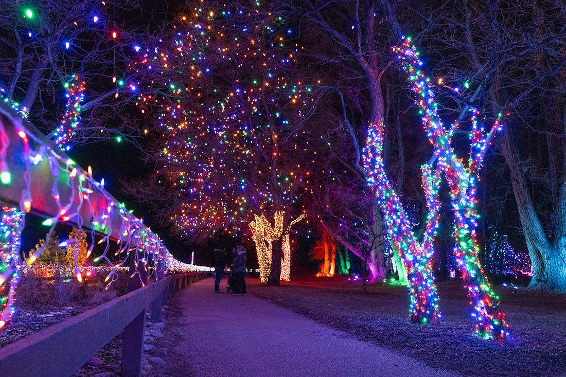 Light trail