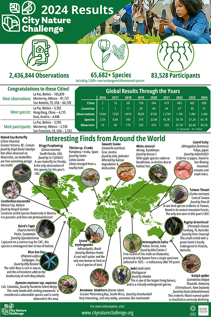 City Nature Challenge 2024 Results