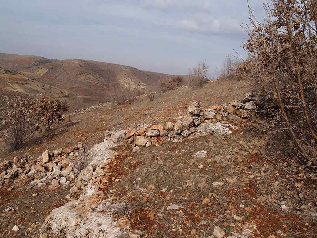 Turkis Steppe Turkis Steppe