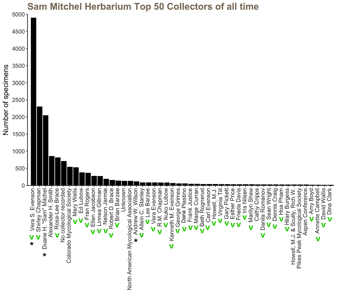 Specimen chart for herbarium 