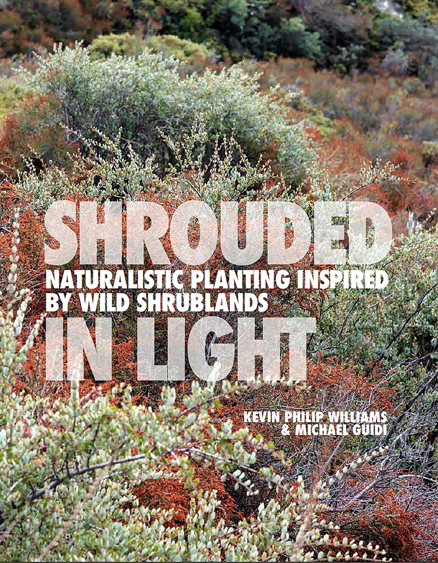 Shrouded In Light book cover