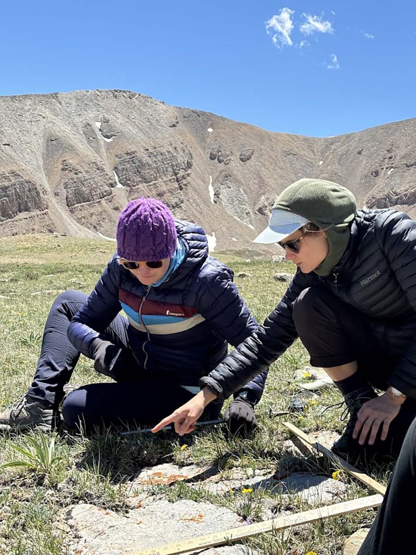 Two people wearing warm clothes studying plants in a plot