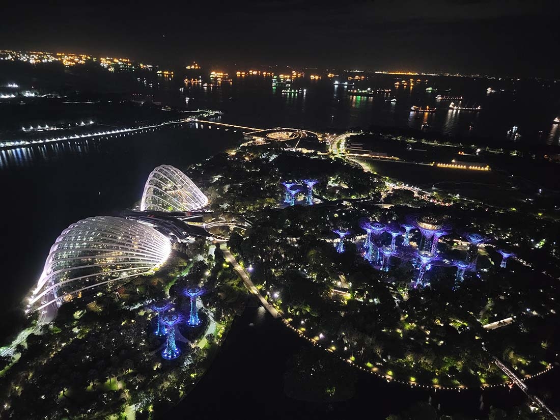 Gardens by the Bay at night