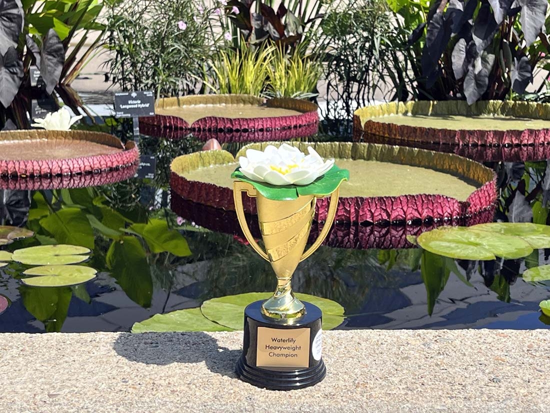 Waterlily Weigh Off trophy