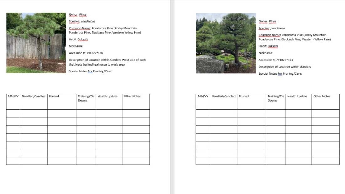 garden project book pages