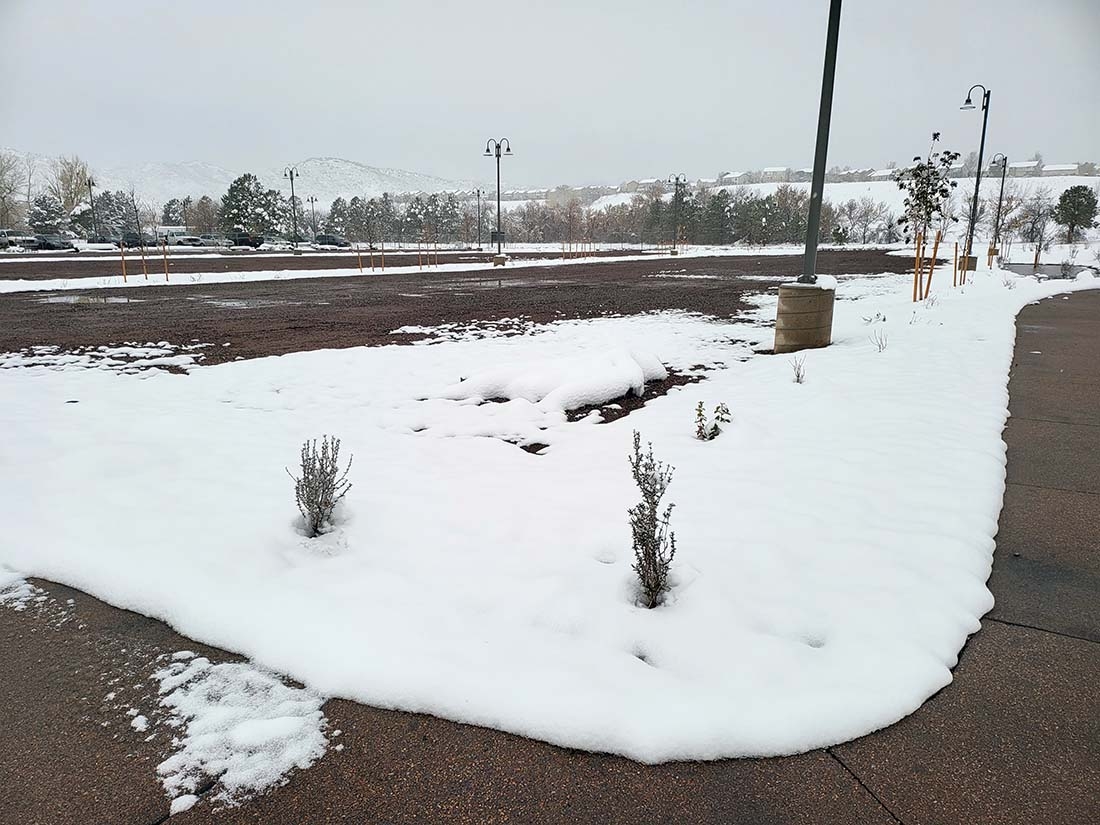 Snowy parking lot swale