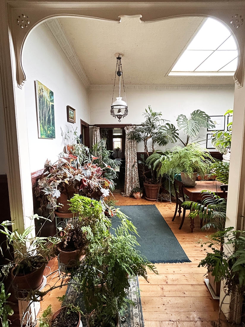 Inside a house with lots of potted plants and a skylight