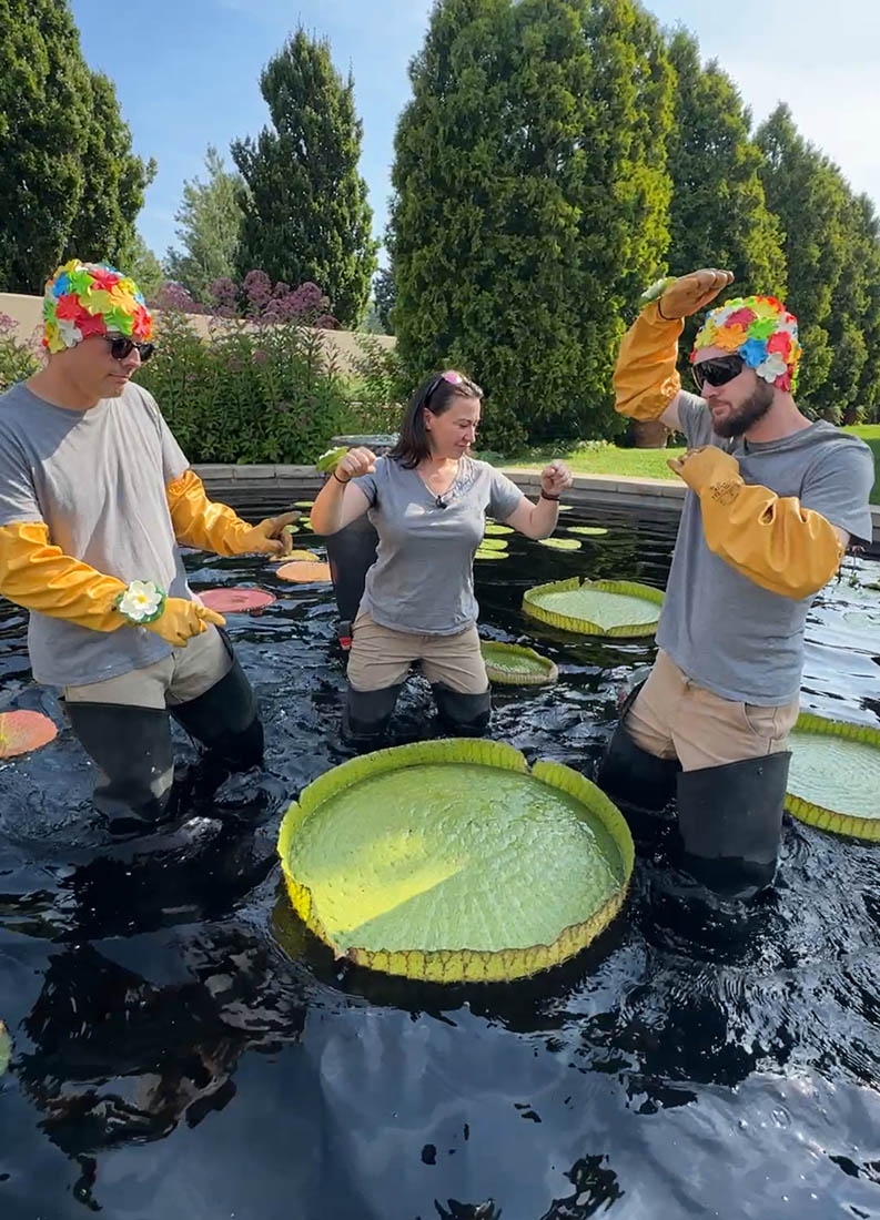 Three people striking a pose while standing in a pond