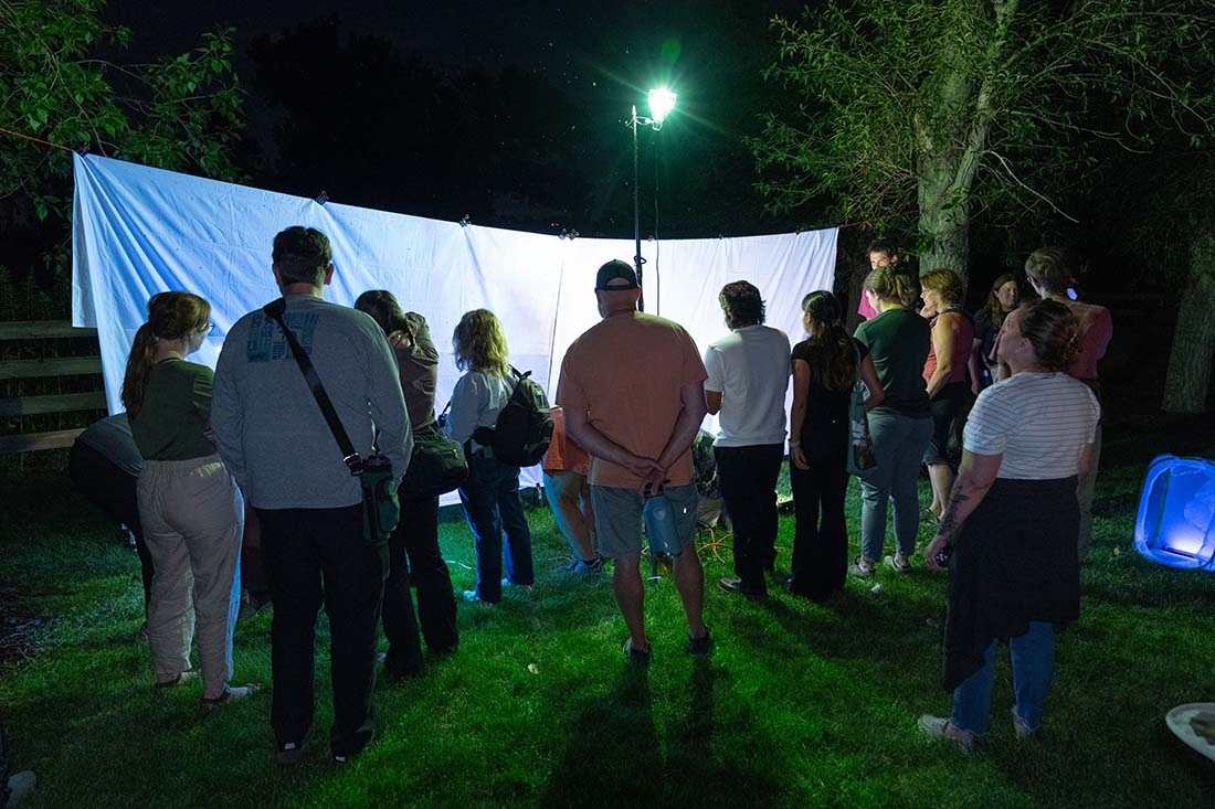 Insects Illuminated Chatfield Farms