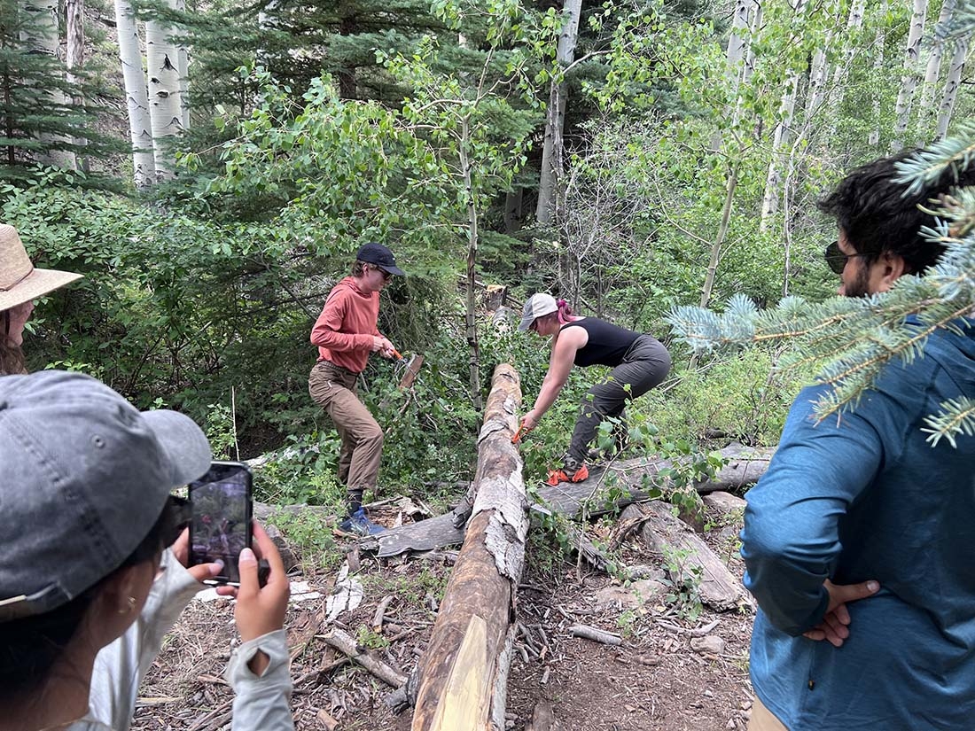 Two people saw at a fallen tree while others look on