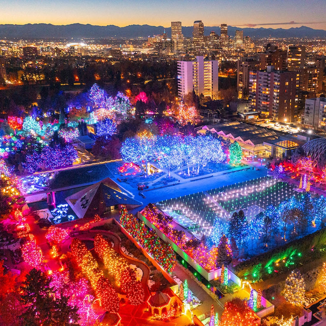 Overhead view of Blossoms of Light