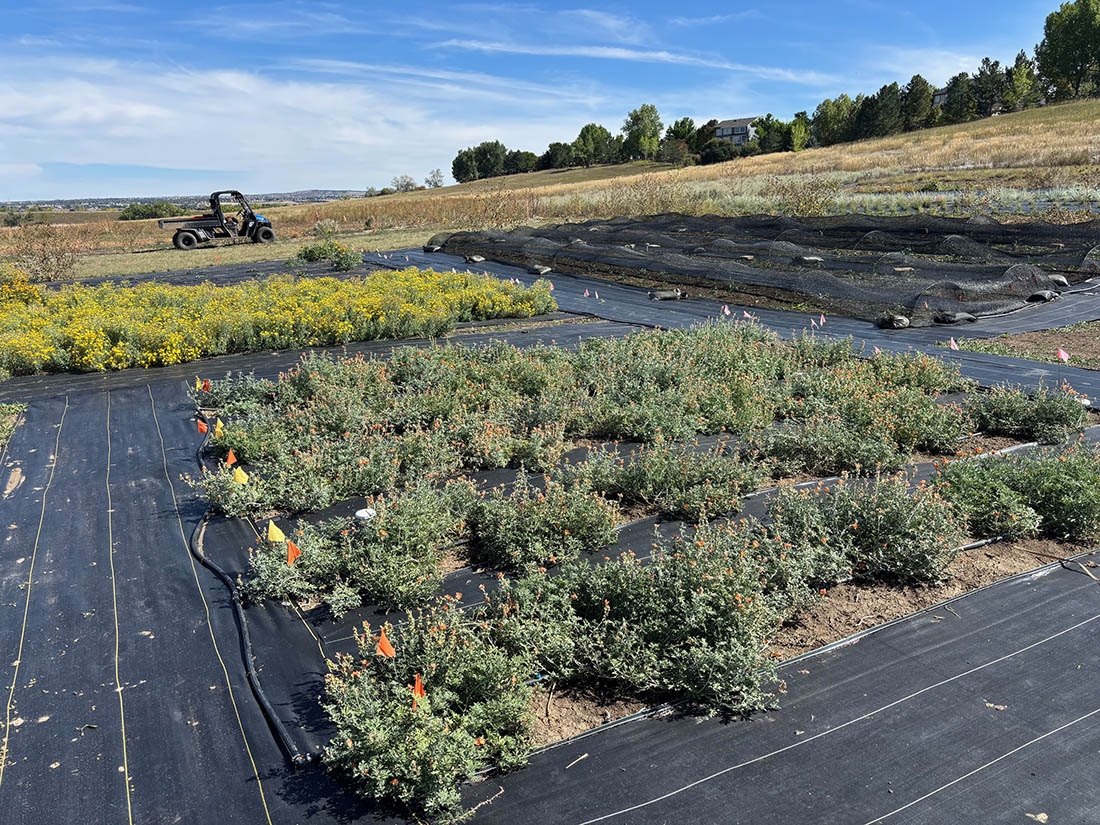 plant plots in trial garden