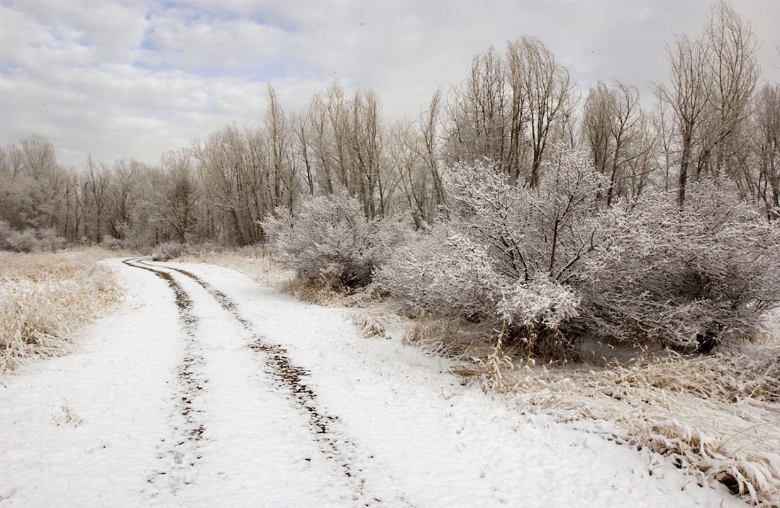 trail in snow