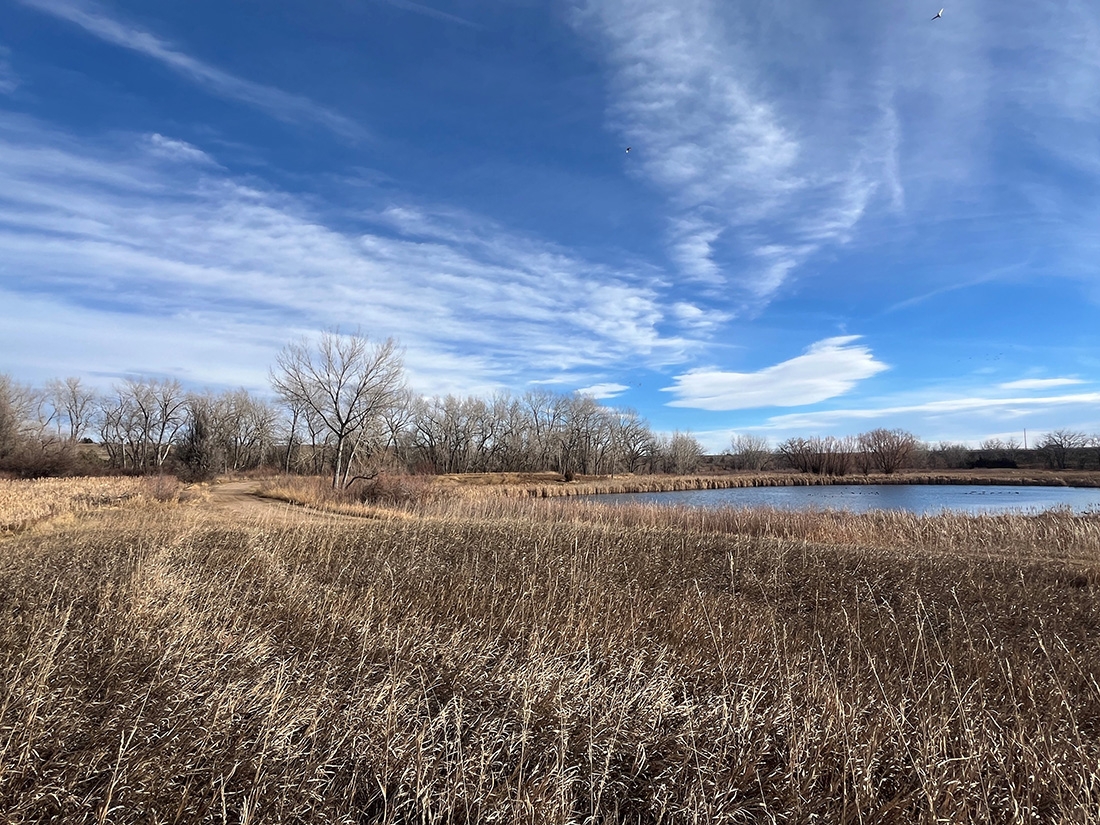 winter field and water