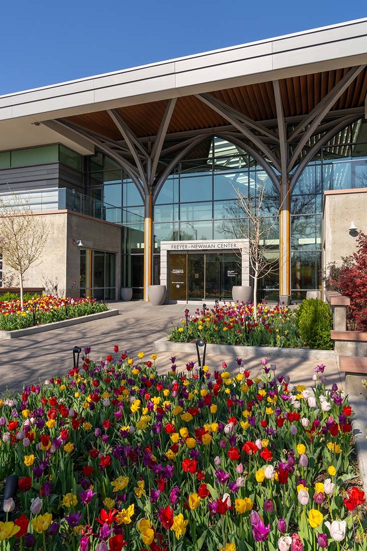 Tulip-lined entrance to Freyer - Newman Center