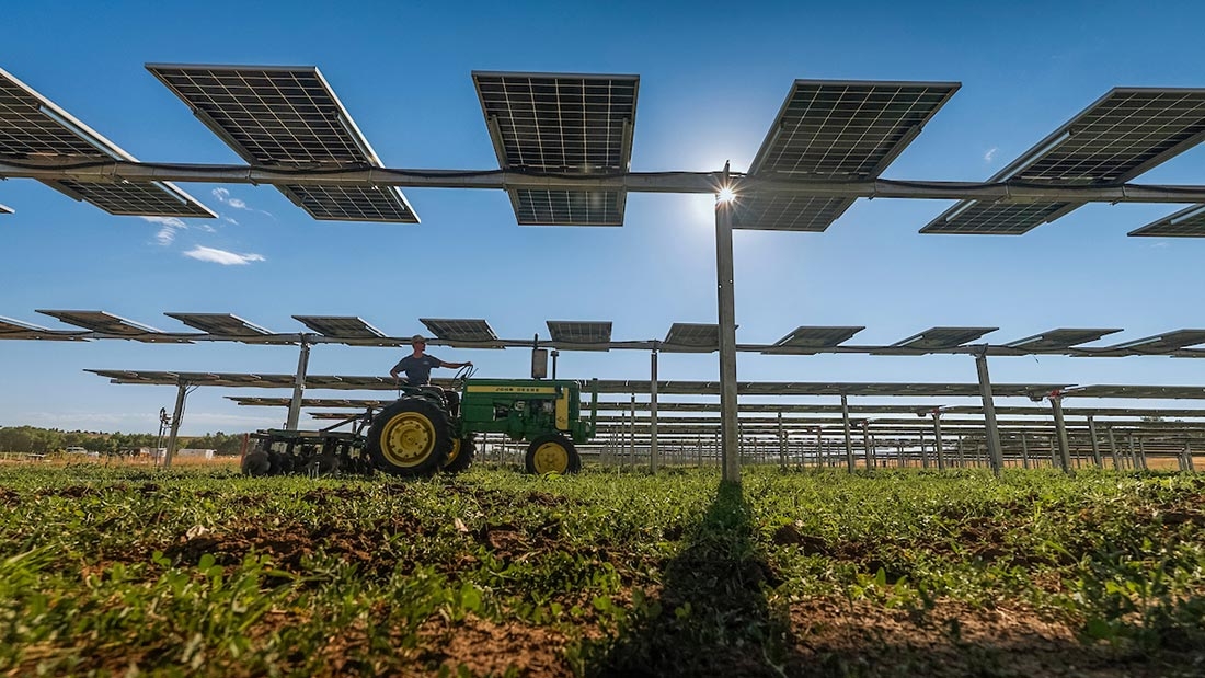 Solar panels at Chatfield Farms with a tractor driving beneath them.