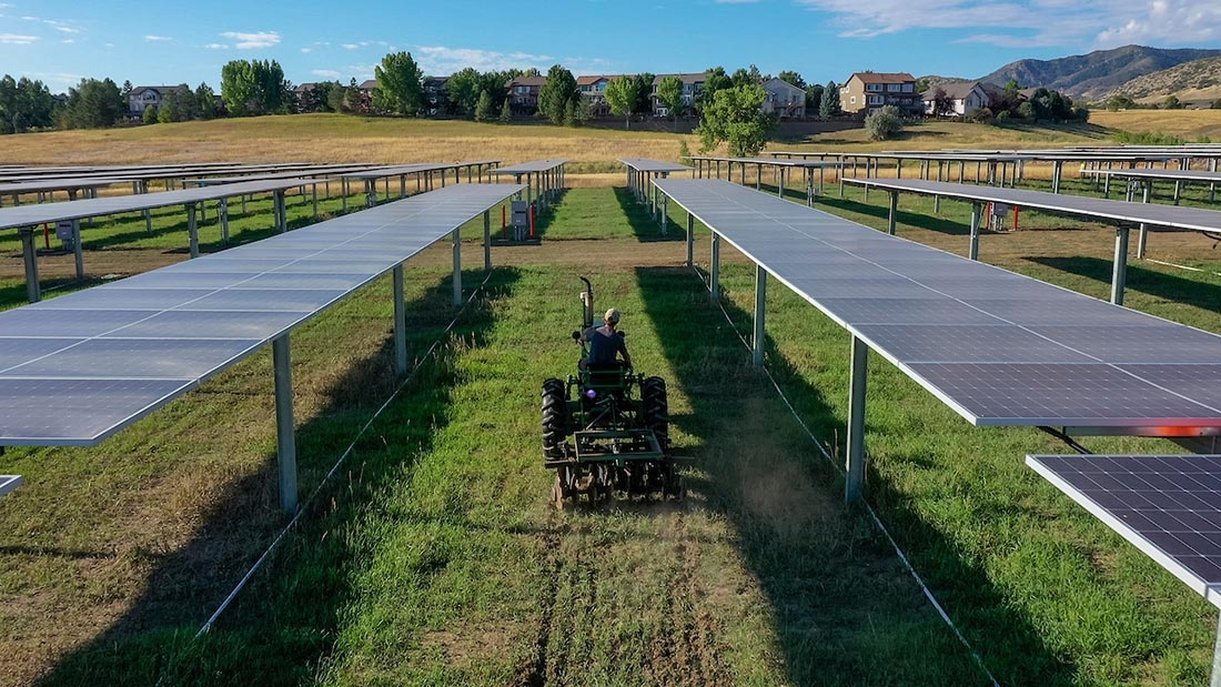 Solar panels at Chatfield Farms with a tractor driving between them.