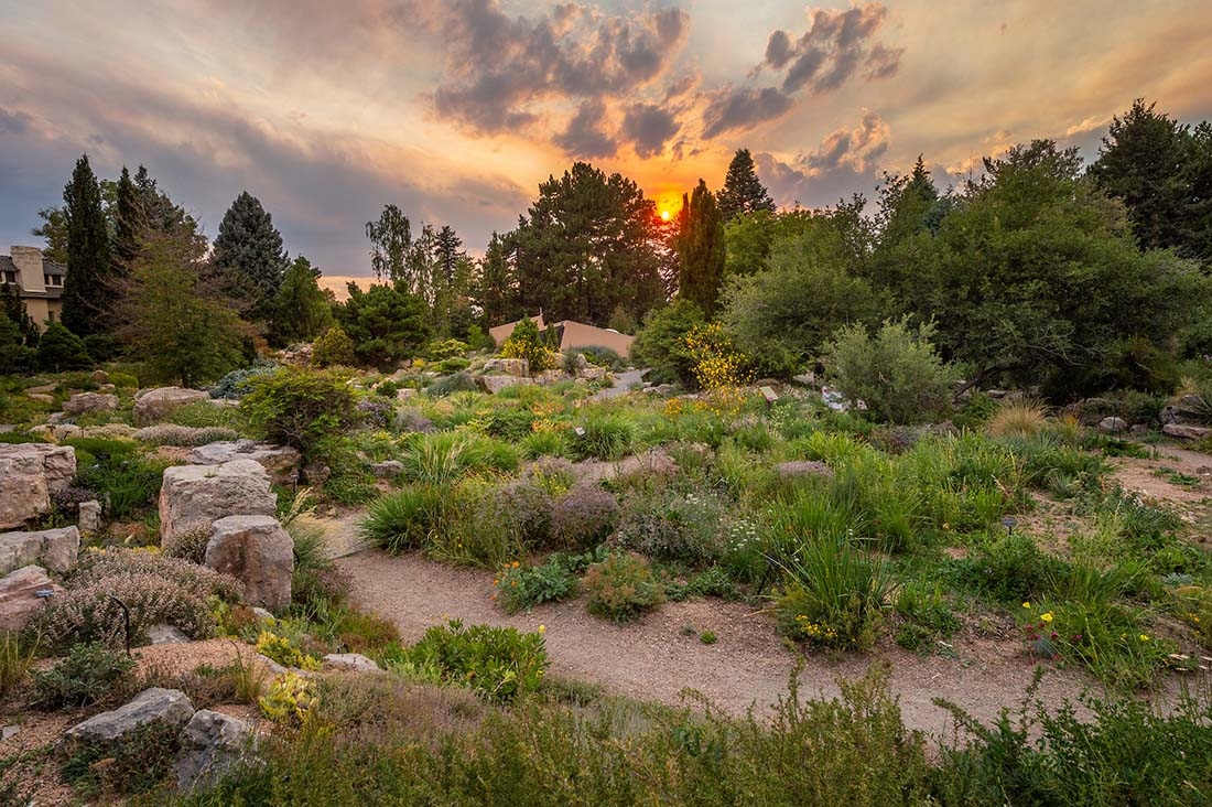 the Rock Alpine Garden at dusk