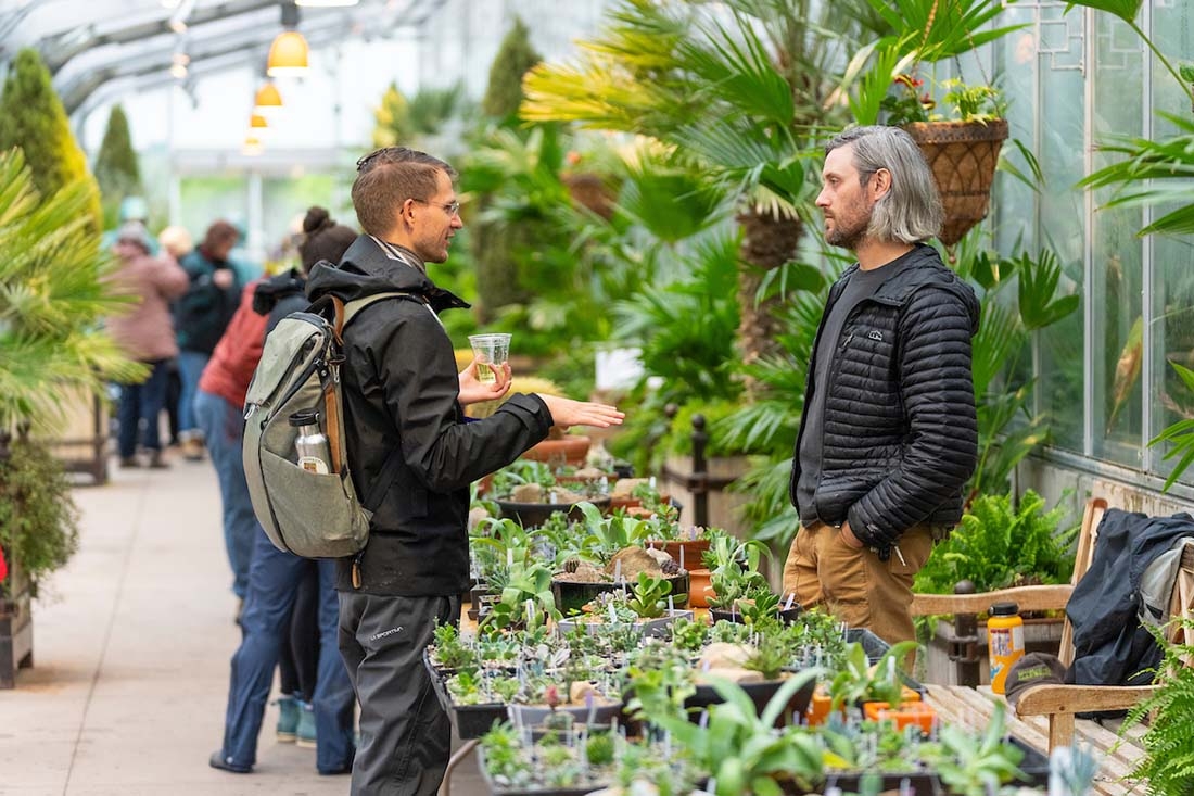 two people talking with a table of plants between them